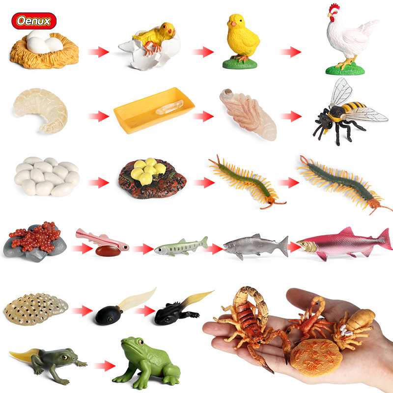 Oenux Mainan Anak Miniatur Pen - Baby Products Pictures ulasan dan harga